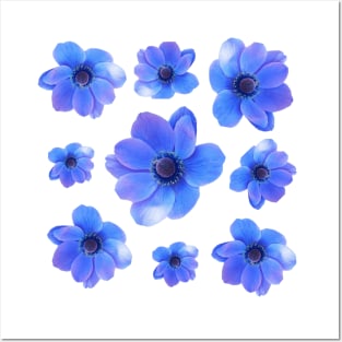 Blue Anemone Decor Posters and Art